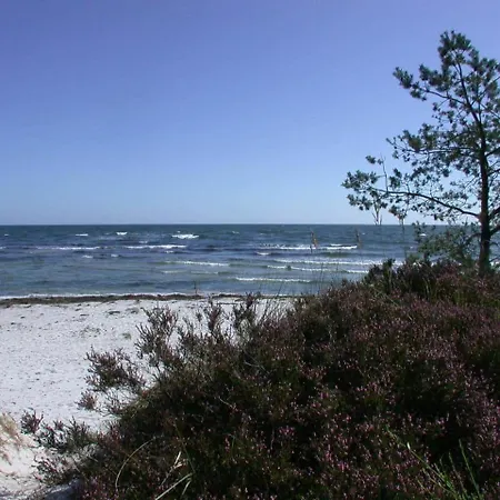 3626-nexo-vigen-6 Semesterbostad Neksø