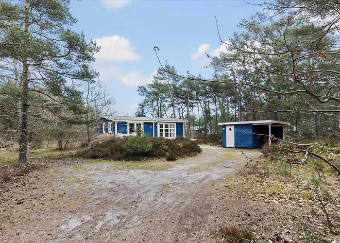 3626-nexo-vigen-6 * Нексё